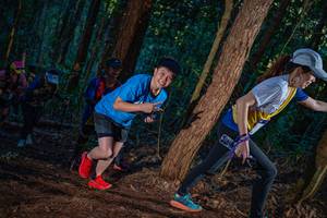 BIB: 
                            <button type="button" onclick="openModal(19212711)" class="btn btn-primary btn-sm float-right btn-popup" data-toggle="modal" data-target=".modal-high-quality">
                        <i class="fas fa-shopping-cart"></i> Add to Cart
                    </button>
                                            <button type="button" onclick="isThisMe(19212711, true)" class="btn btn-success btn-sm float-right btn-popup btn-isme hidden" data-toggle="tooltip" data-placement="bottom" title="นี่คือรูปของคุณใช่ไหม คลิกที่นี่เพื่อเอาเข้าอัลบั้ม">
                        <i class="fas fa-plus"></i> Add to album
                    </button>
                    <button type="button" onclick="isThisMe(19212711, false)" class="btn btn-warning btn-sm float-right btn-popup btn-isnotme hidden">
                        <i class="fas fa-ban"></i> Remove from album
                    </button>